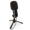 ZOOM USB Condenser Noise for Streaming On Game Narration Voice and Black ZUM-2 Microphone, Cancelling, High-Resolution Audio, YouTube, Commentary,