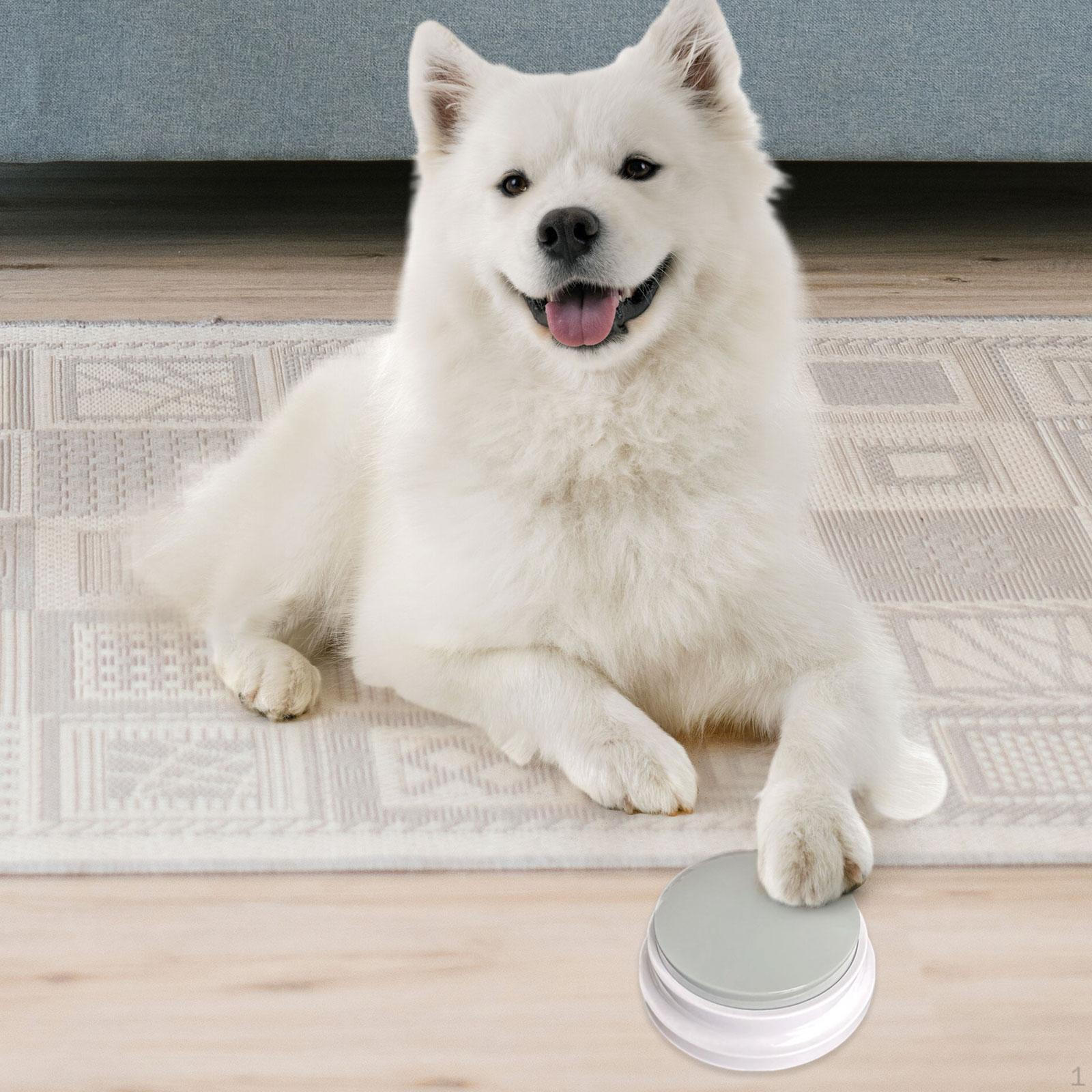 

Записувана Кнопка для Розмови для Кота Собаки Дітей Розвиваюча Іграшка 30С Кнопка для Відповіді сірий колір