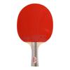 Tenis stołowy – Rakietki do tenisa stołowego