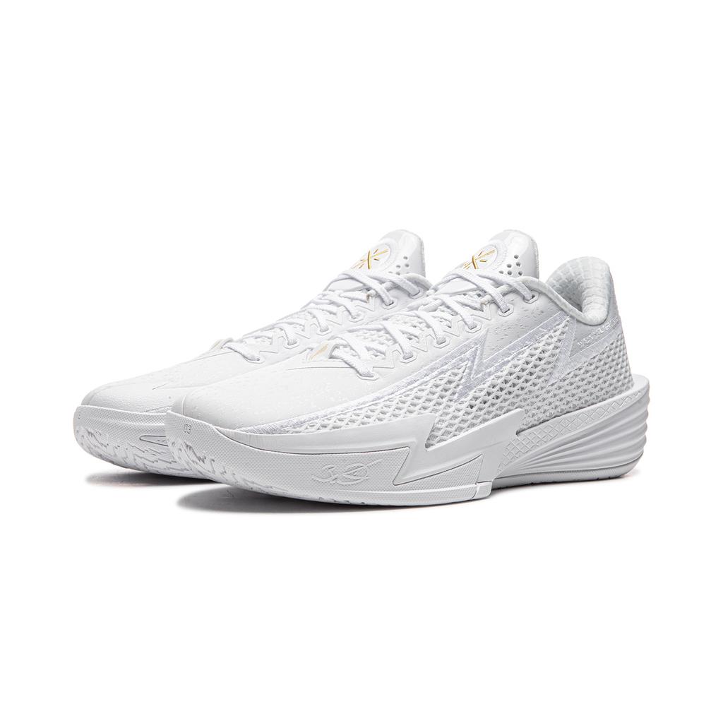 Li Ning Wade Błyskawica 2 Buty do koszykówki Męskie sneakers Standardowy-Biały ABPV013-1
