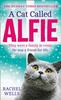 A Cat Called Alfie by Rachel Wells Paperback Book 9780008334673