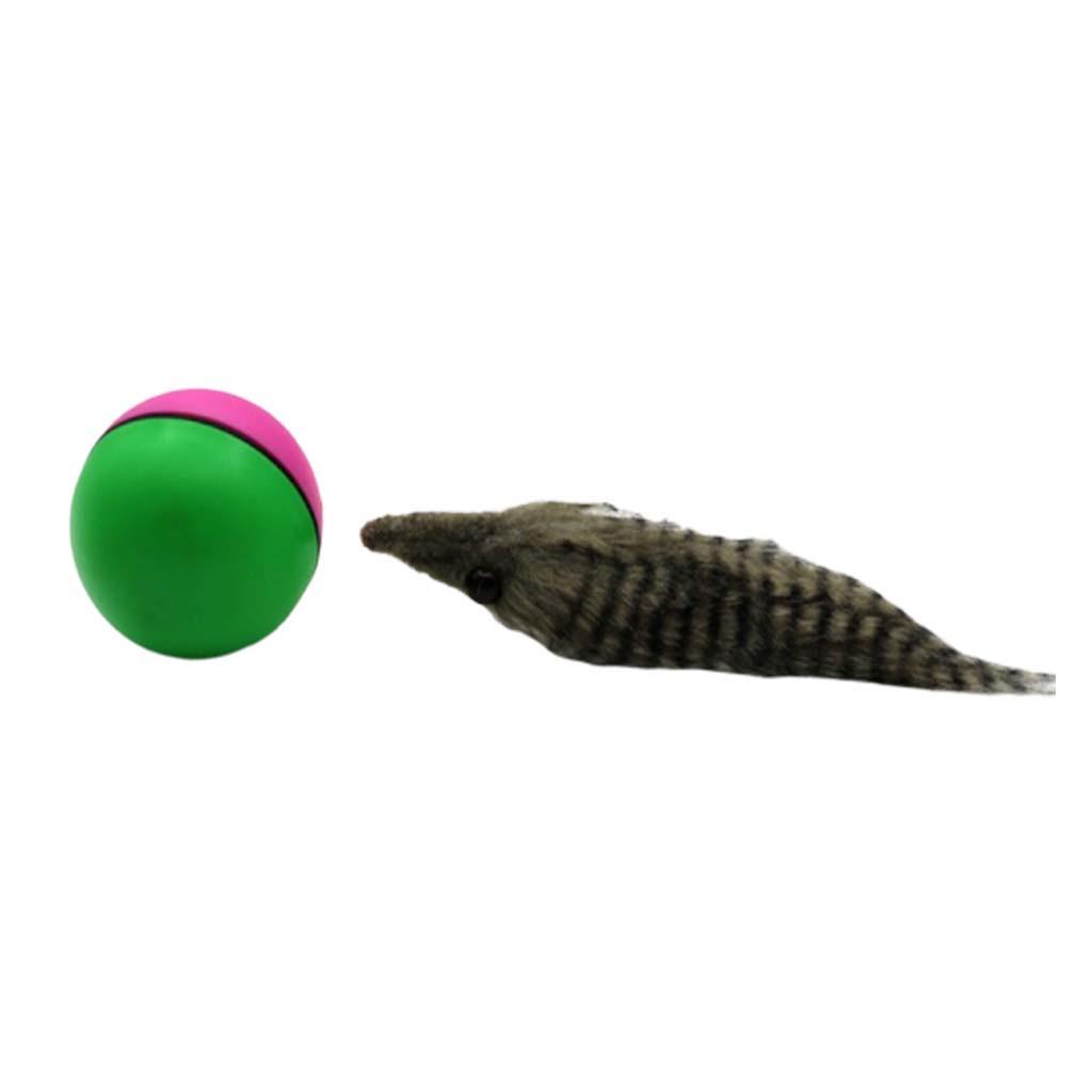 

Милые игрушки для собак Интерактивная игрушка-мяч для домашних питомцев Игрушка с маленьким колокольчиком Собаки