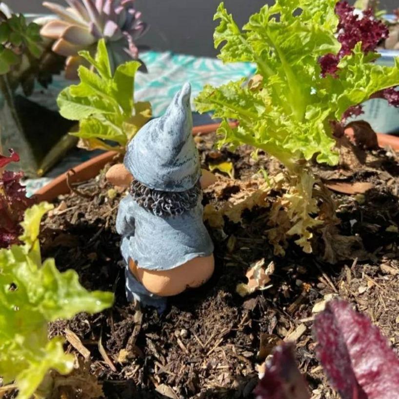 Creative Design Resin Crafts Funny Gnome Statue Garden Decoration Dwarf Taking A Shit Ornament Home Courtyard Lawn Decoration