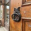 Retro Eule Türklopfer, Hohl geschnitzte Wanddekoration aus Schmiedeeisen, Mehrzweck-Verdickter Rostfreier Schrankgriff, Vorgebohrte Löcher für Tor Schrank