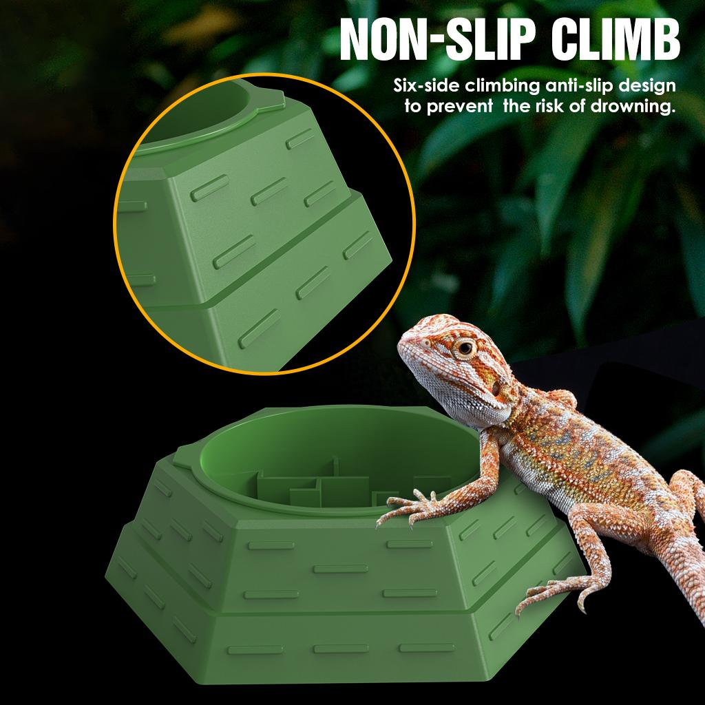 Maze design feeding bowl, water basin, increase the fun of hunting, multiple uses, suitable for reptiles, lizards, chameleons