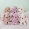 Adorable Long-haired Plush Bunny Toy For Kids 35cm And 50cm Sizes Available