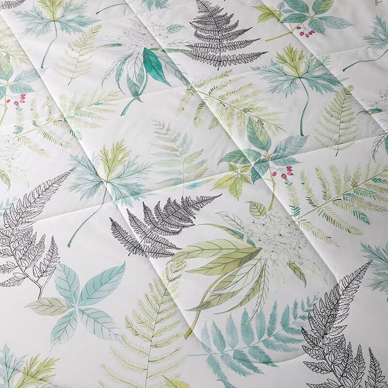 Luolai Ultra-Soft Washable Anti-Mite Summer Comforter