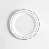 10-pack Plastic Plates, Disposable Dinner Plates/salad Plates/dessert Plates, Suitable For Weddings, Parties And Holiday Party Supplies
