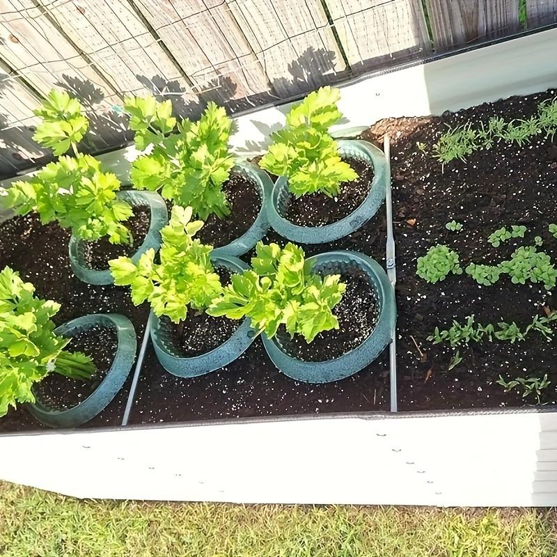 5/10pcs Green Transparent Round Snail and Slug Protection Covers - Reusable Plastic Slug and Snail Plant Protectors