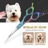 6.5 Inch, Color Double Tail, Split Maiden Handle, Pet Scissors, Pet Curved Scissors