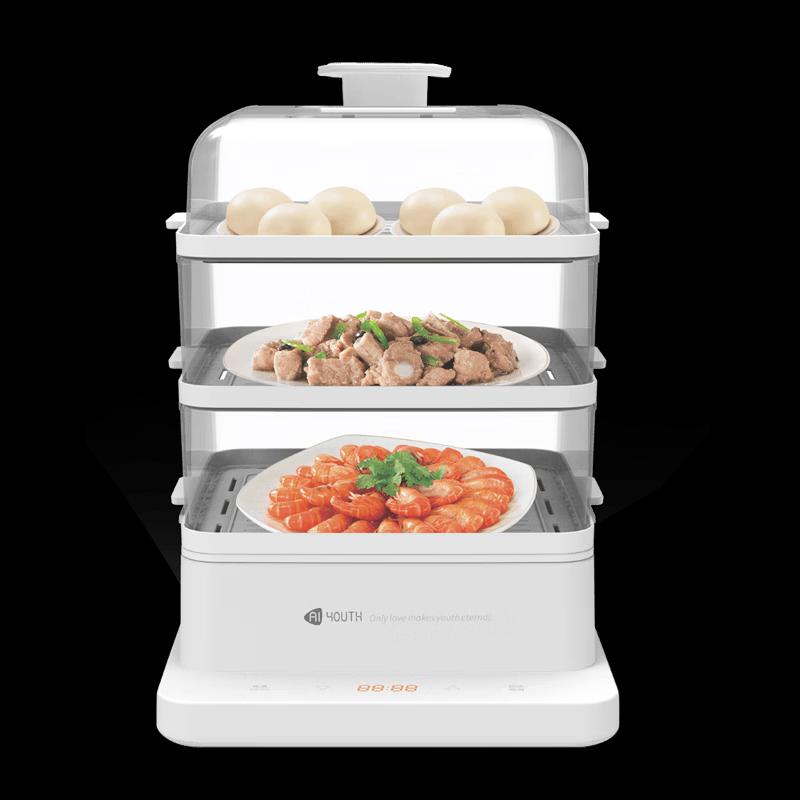 AIYOUTH Smart Multi-functional 22L Electric Steamer