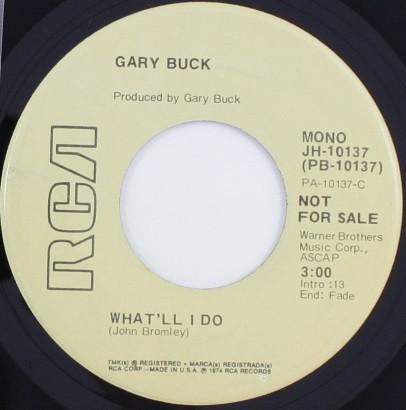 

7inch Record GARY BUCK - What ll I Do JH10137 RCA 1974 US Folk Used