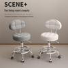 Rotating Hair Salon Barber Chair with Casters