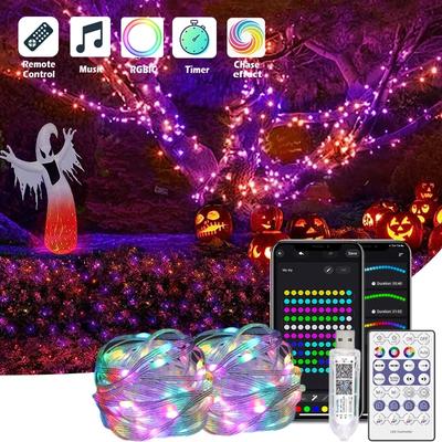 Bluetooth 20M 200LED Multicolor Christmas Tree Lights with Remote Dreamcolor Changing Halloween Lights USB 5V LED Lights