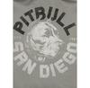 Толстовка PITBULL DOG SD