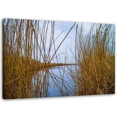 Canvas Print, Lake Nature Landscape Reeds