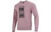 Sweatshirts Men's Pink Crew Neck Moderate Regular HN8971