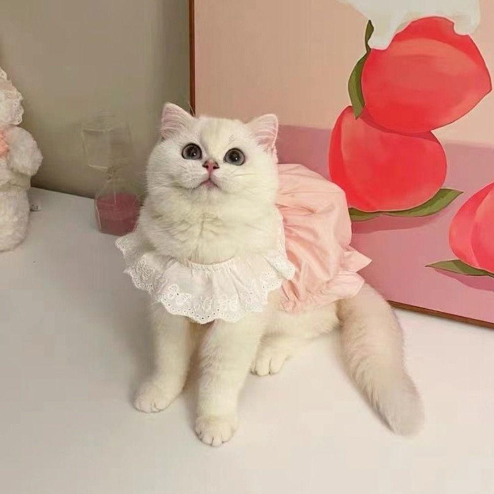 Thin Cat Lace Skirt Solid Color Cat Dog Costume Cute Cat Princess Dress