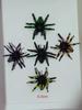 12 Black Luminous Small Halloween Prank Spiders