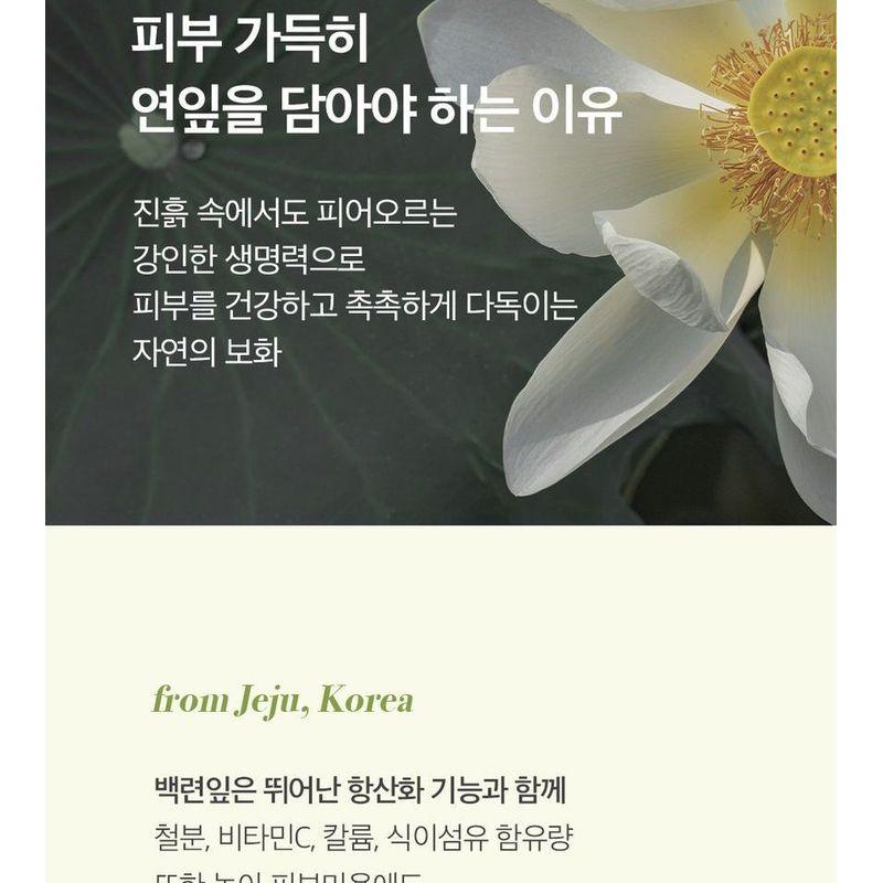 THE PURE LOTUS - Lotus Leaf Shampoo For Oily Scalp Jumbo