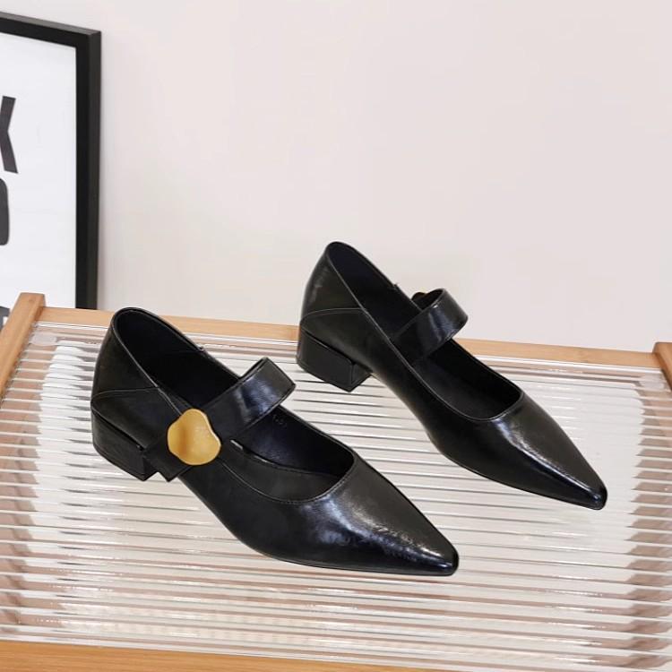 French Thick Heel Velcro Shallow Mouth Single Shoes Women's 2025 Autumn New Pointed Foreign Style Versatile Mary Jane Small Leather Shoes