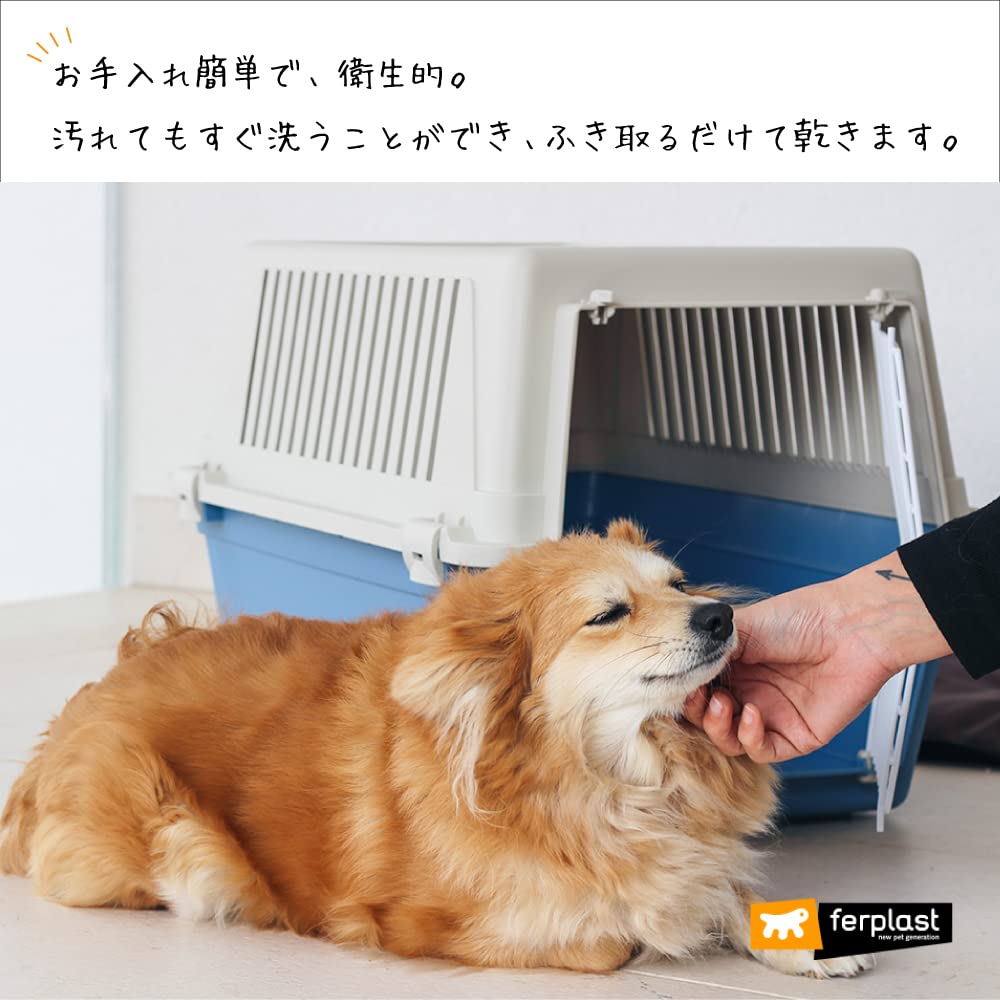 Ferplast Atlas 10 Hunde- und Katzentransportbox 73007099 (Zufällige Farbe)