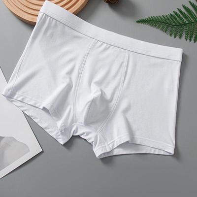 Big Size Men's Underwear Bamboo Fiber Panties Boxer Briefs Modal Underpants Boy Undies White Undershorts Solid Color Knickers Trunks L XL 2XL 3XL 4XL