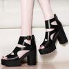 Women Thick Sole Boots Fish Mouth Women's High Heel Hollow Roman Sandals