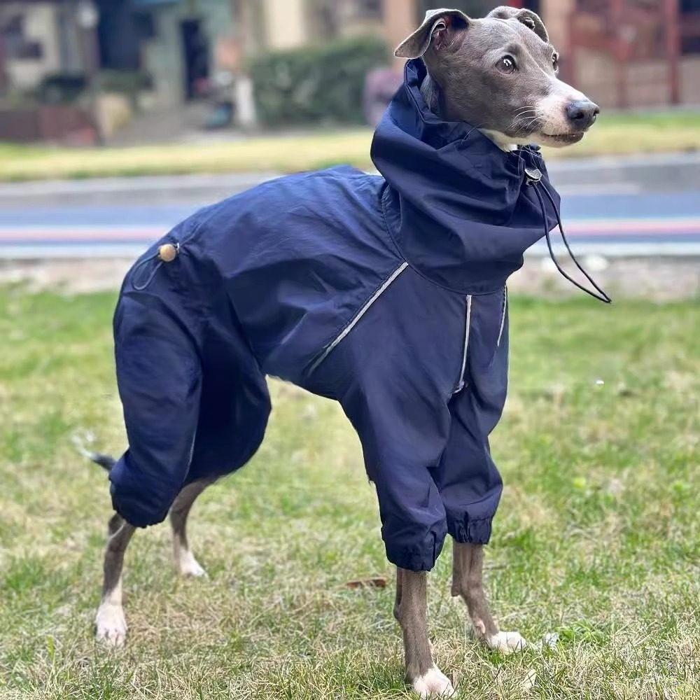 

Spring Pet Dog Jackets,Waterproof Full Body Jacket, Hooded Outdoor Windbreaker for Small Medium Dog - Whippet Greyhound Clothes 1 тёмно-синий