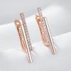 Unique Shiny Natural Zircon Drop Earrings For Women Trend  Rose Gold Color Accessories Daily Fine Jewelry Crystal Gift