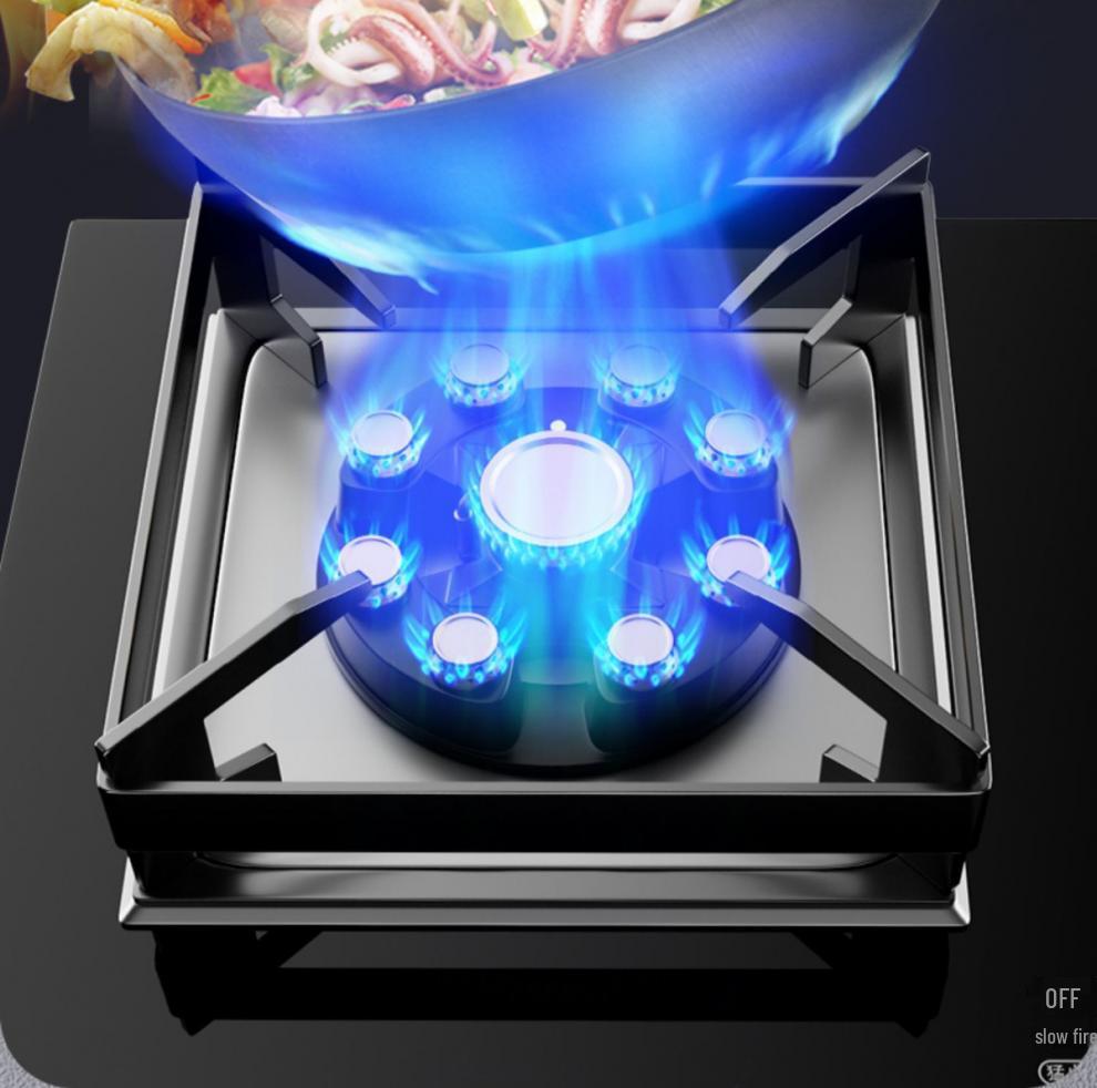 Good Wife Double Burner Gas Stove: Tabletop & Embedded, for Natural or Liquefied Petroleum Gas