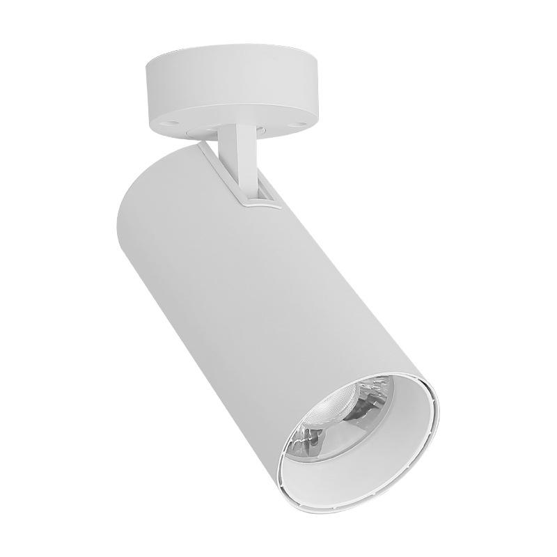 LED Folding Downlight: Surface-Mounted COB Spotlight for Hotel Walls and Ceilings