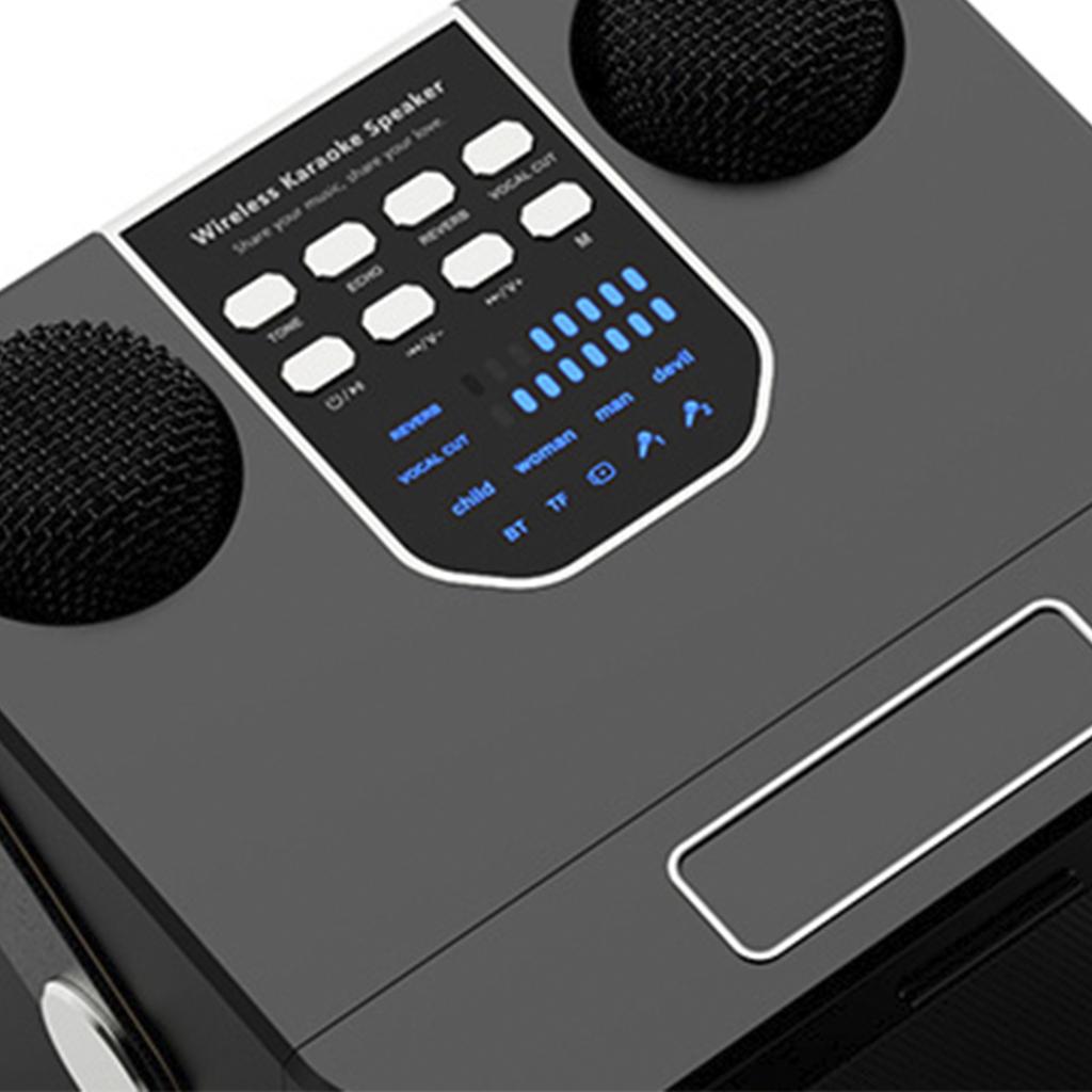 Wireless Bluetooth Speaker Dual Microphone Portable Karaoke Speaker Home Theater