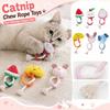 Kedi – Kedi Oyuncakları