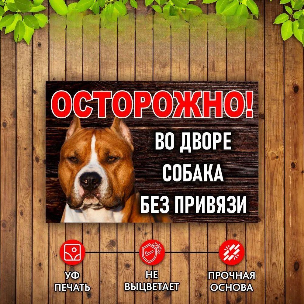 

Warning Dog in Yard No Leash