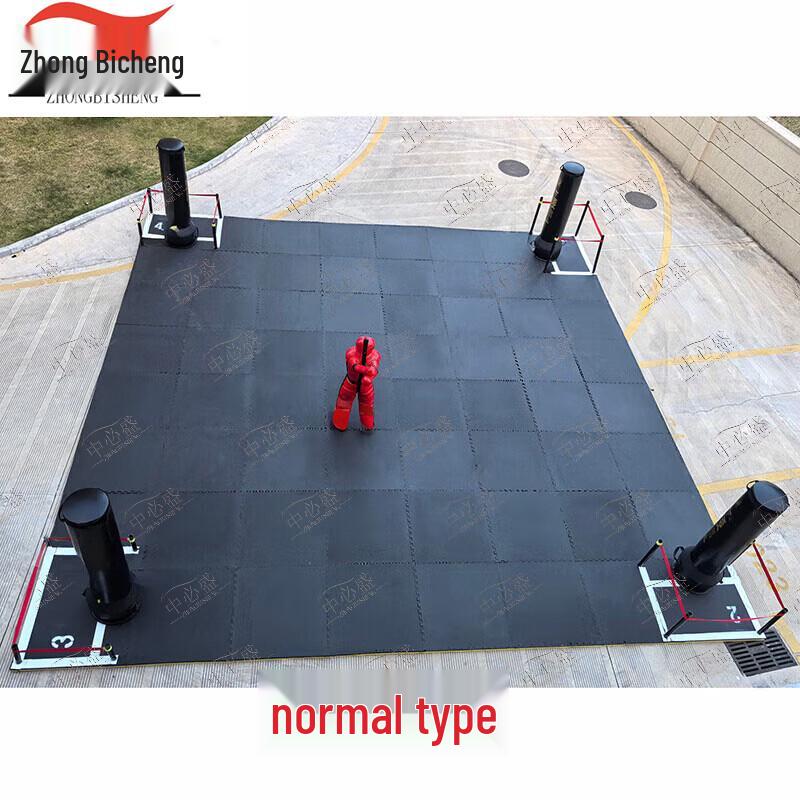 Martial Arts Training & Assessment System