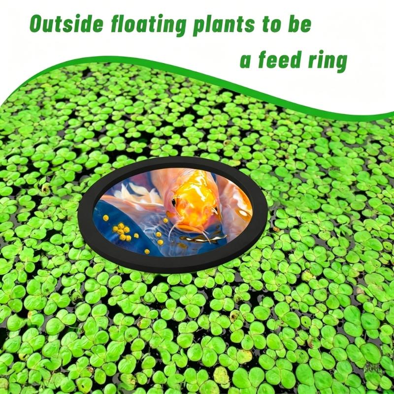 Set of 5 Water Floating Plant Holders Rings Fish Feeding Rings Square Round for FishTanks Plant Cultivation Supplies