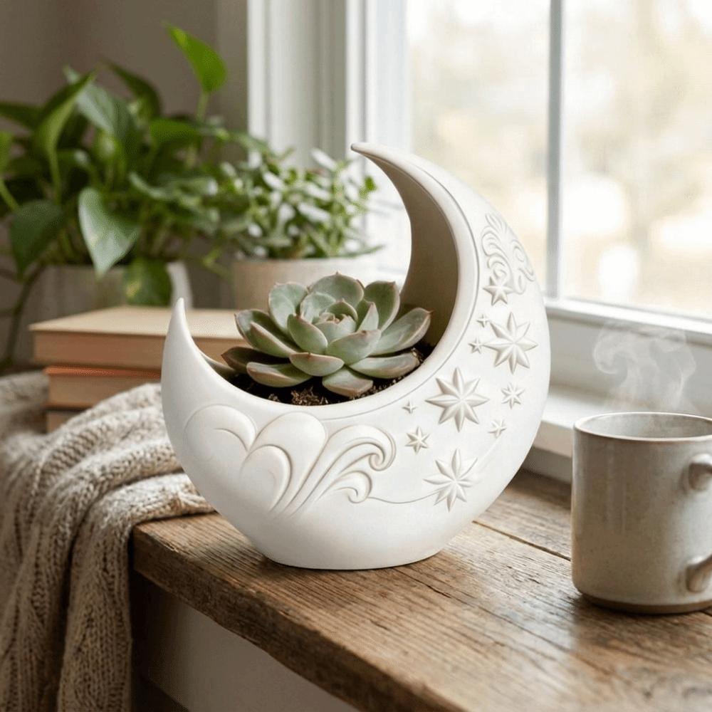 Embossed Star Pattern Crescent Moon Flower Pot 3D Printing Plastic Jewelry Storage Tray Decorative Moon Shaped Storage Box