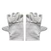 Lined Canvas Work Gloves
