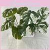 Faux Monstera Leaf 7 Heads Realistic Greenery For Wedding Photography Props
