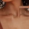 Korean Version Ins Niche Exquisite High-end Design Short Collarbone Chain Women, Simple and Versatile Temperament Diamond Necklace