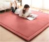 Minimalist Japanese Coral Fleece Tatami Bean Bag Rug: Thickened Floor Mat for Kids & Yoga