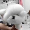 Simulación de Mascota Belleza de Cabello Práctica Perro Caniche Estándar Perro Teddy Cuerpo Entero Pelo Falso Solo Aseo de Mascotas Recorte Práctica de Cabello