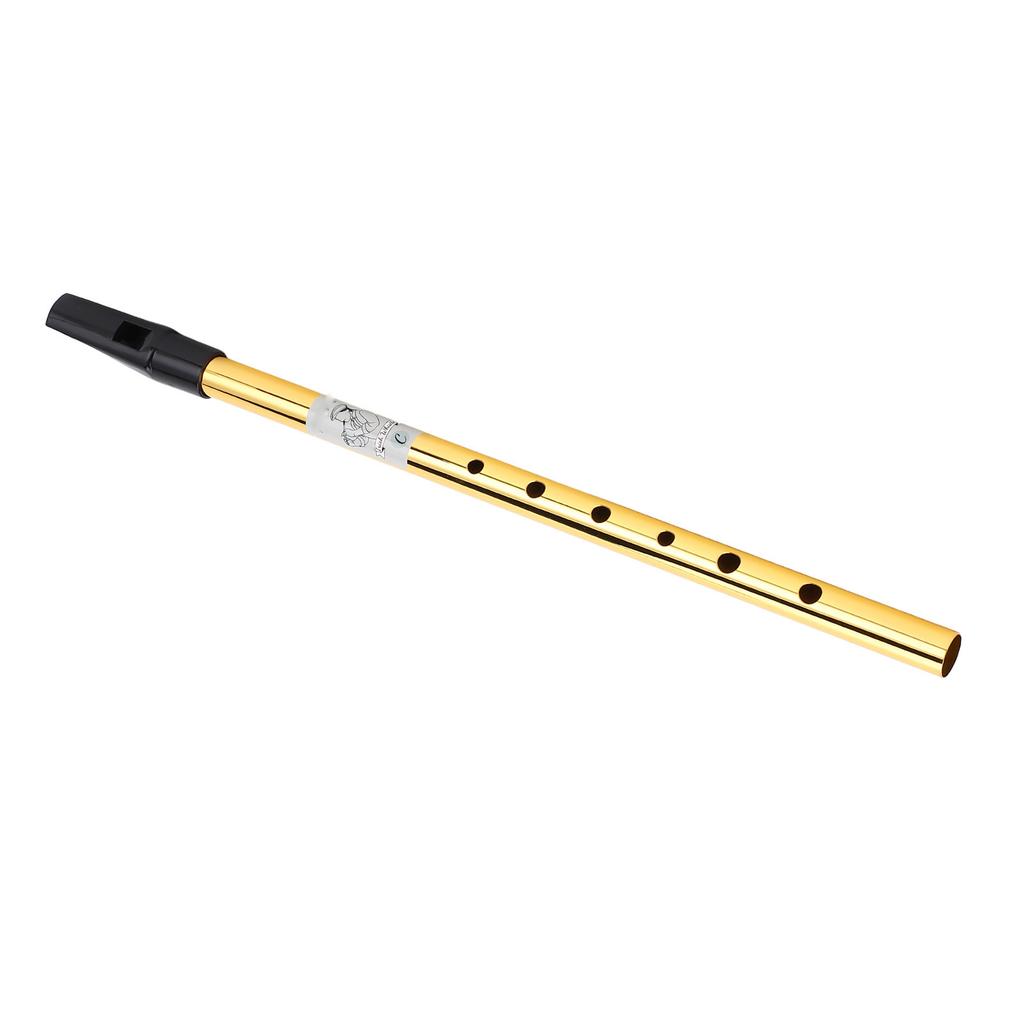 6 Holes Irish Tin Whistle Clear Sound Wind Musical Accurate Tuning Whistle Flute for Beginners C Tune