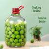 LISM Glas-Fermentationsglas