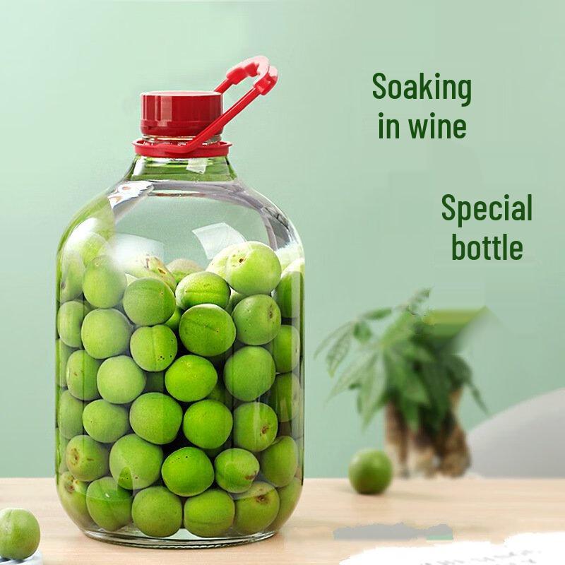 LISM Thickened Glass Infusion Jar with Handle