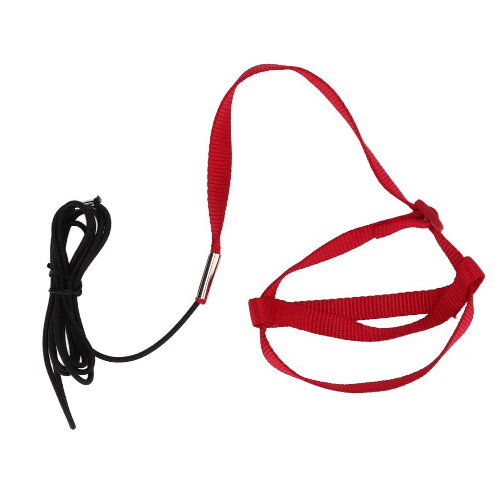 Adjustable Design Parrot Flying Rope Rope Material Anti-Bite Leash Bird Training Leash  For Walking