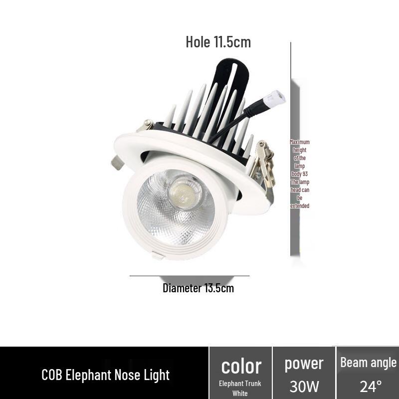 

NuFeng 40W Embedded Elephant Nose Spotlight