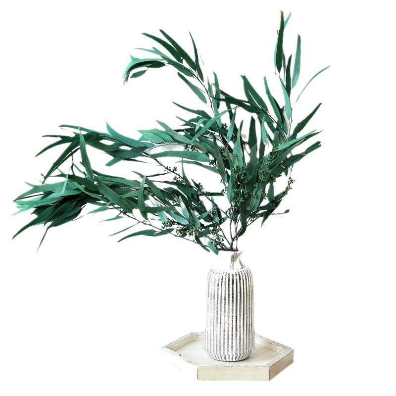 Eternal Apple Eucalyptus Millet Fruit Leaves Beauty Leaves Eucalyptus Leaves Air Dried Flowers And Leaves Multicolor Eucalyptus Leaves Home Decoration