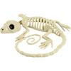 1 Stück Halloween Skelett Knochen Gecko Plastik Gecko Skelett Modell für Halloween Dekoration Terror Gruselige Requisiten